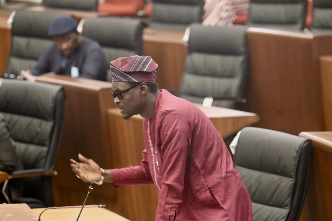 Speaking in the National Assembly